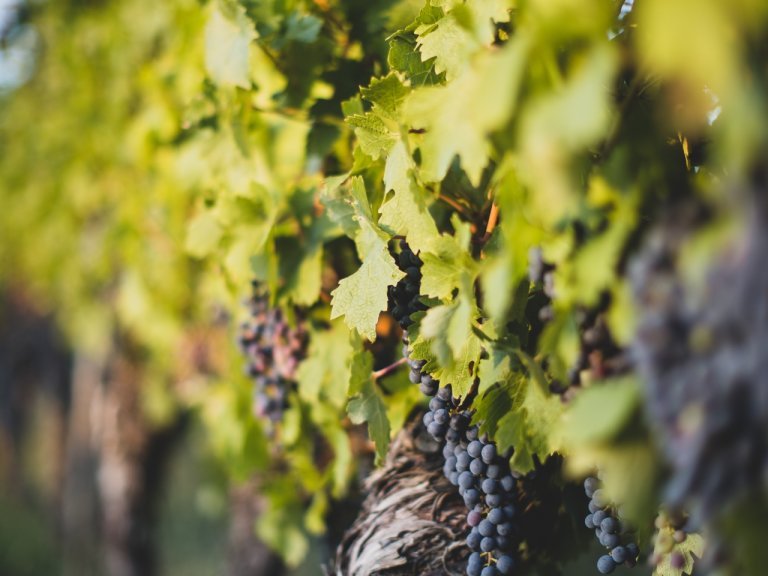 jonathan-farber-Tht21_XTkQE-unsplash